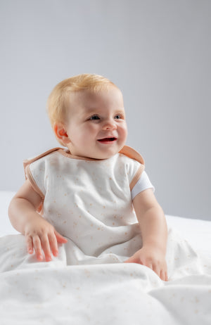 Sleepthru Aerotemp Sleeping Bag